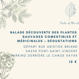 Tickets Balade D Couverte Des Plantes Sauvages Comestibles Et