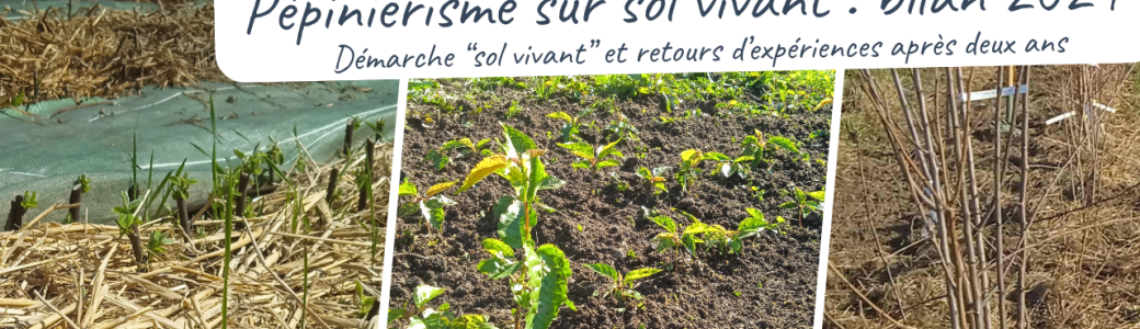 Webinaire "Pépiniérisme sur sol vivant : bilan 2024"