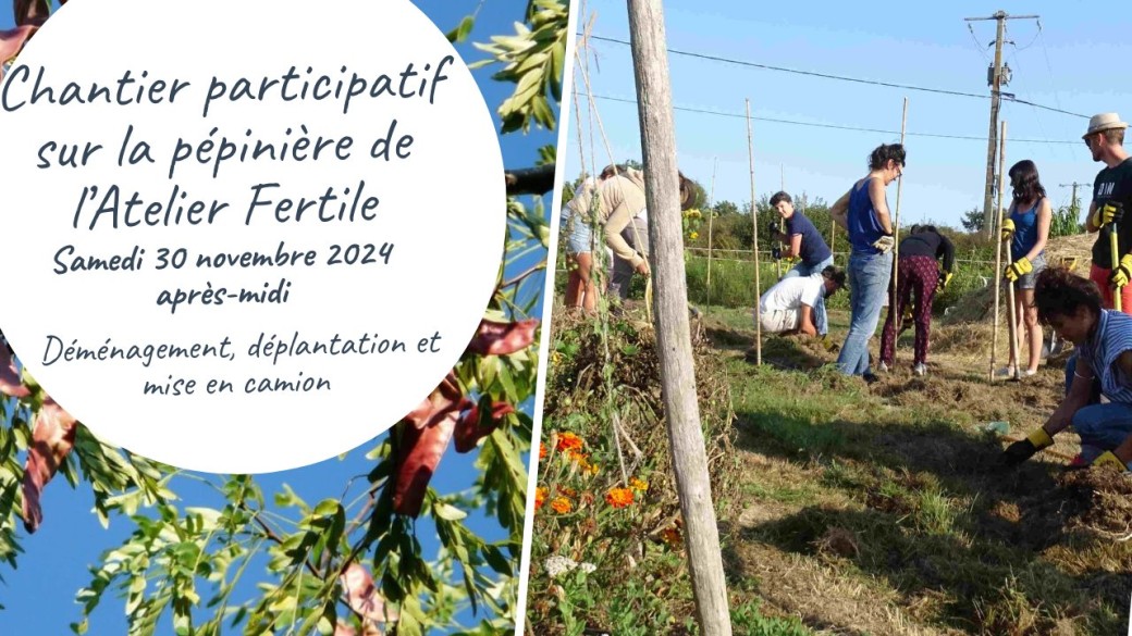 Chantier participatif sur la pépinière 