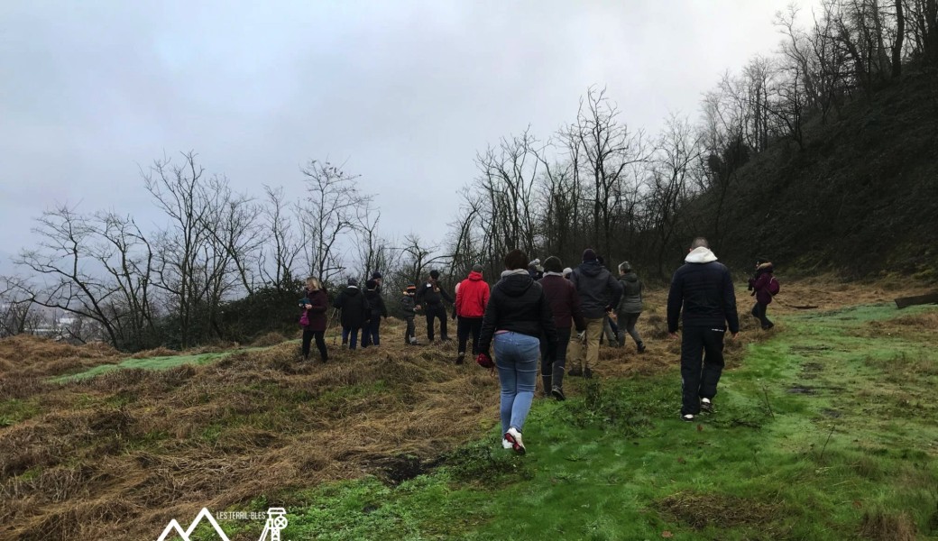 Visite guidée sur le terril des Hiercheuses à Marcinelle