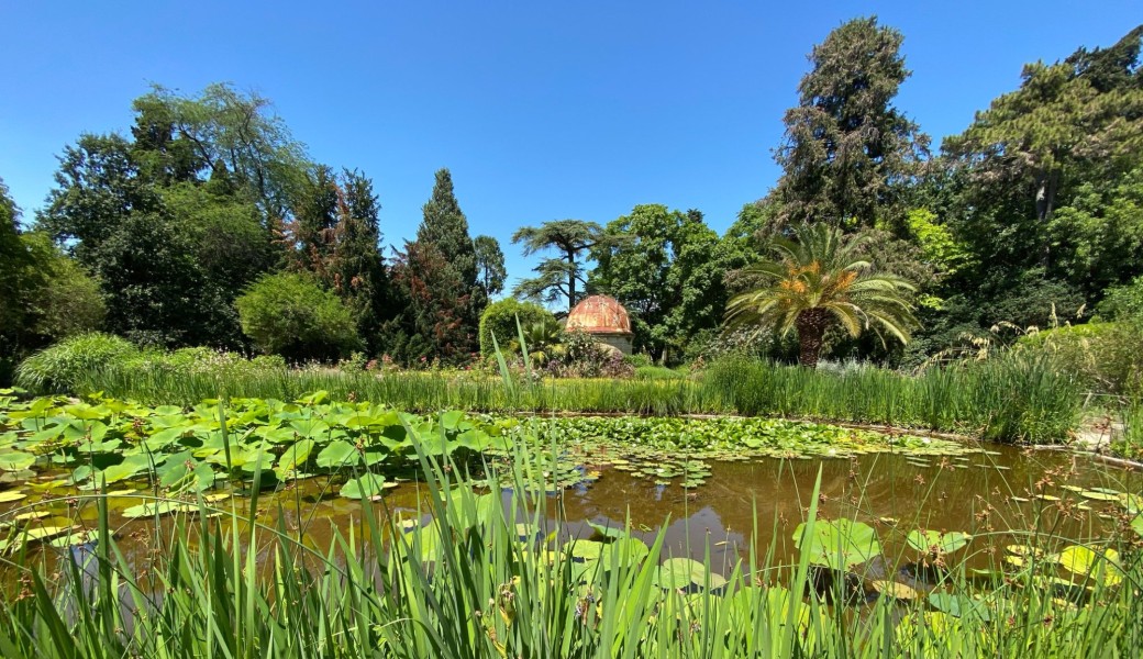 2030 Festival | Balade Philosophique & Naturaliste au Jardin des plantes