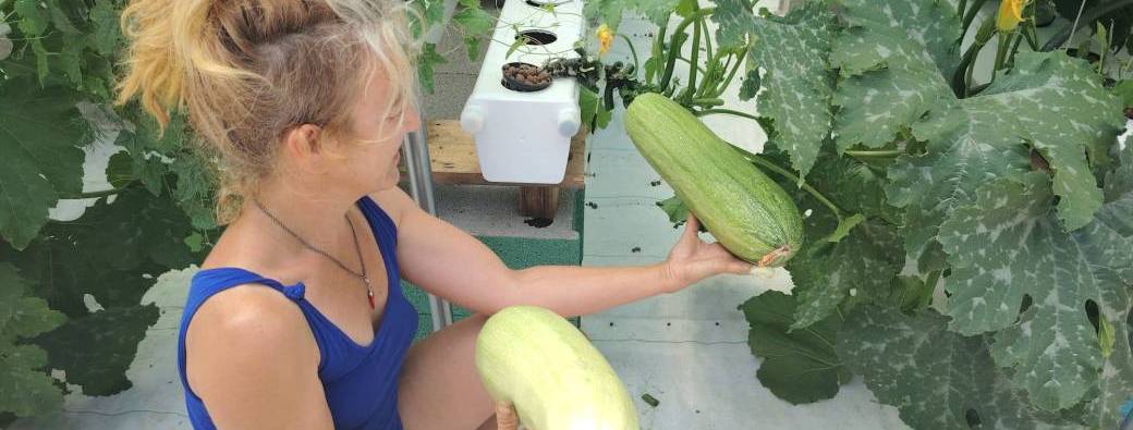 2030 Festival | Découverte des produits de l'agriculture sans terre | Ferme hydroponie CulturÔToits