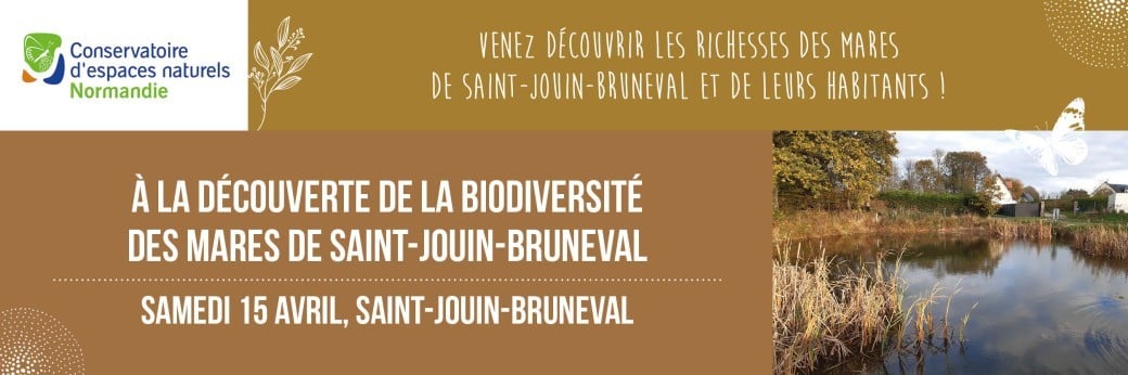 A la découverte de la biodiversité des mares de Saint-Jouin-Bruneval