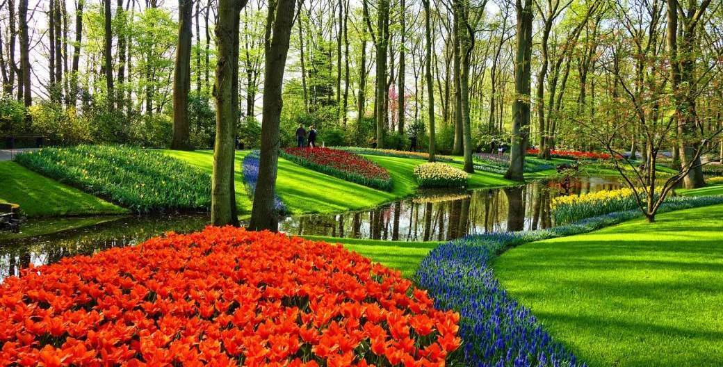 Amsterdam & Festival Tulipes 2025 - DAY TRIP - 29 mars