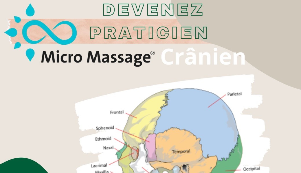 Tickets Apprendre Le Micro Massage Crânien® Billetweb