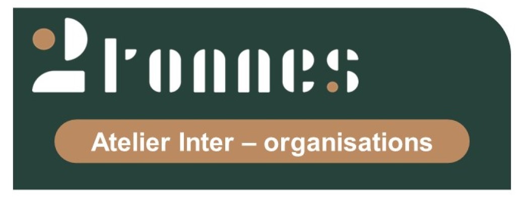 Atelier 2tonnes PRO inter-organisations - en ligne