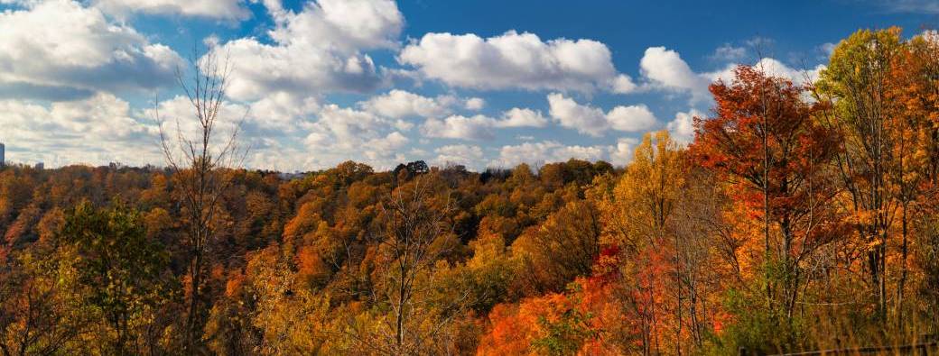 atelier automne