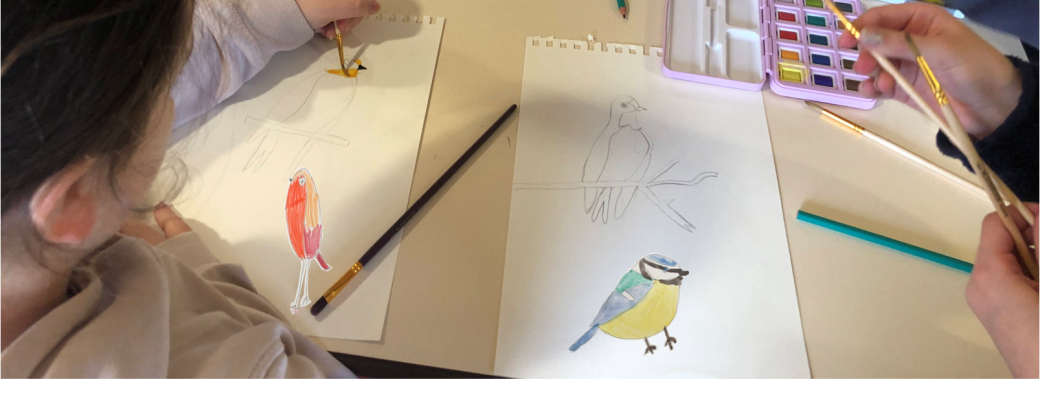 Atelier avec Léna Mazilu : dessins d'oiseaux