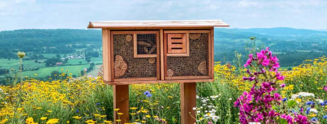 Atelier Cherche la p'tite bête - Aménageons nos jardins 