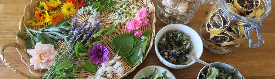 Atelier création de tisane personnalisée