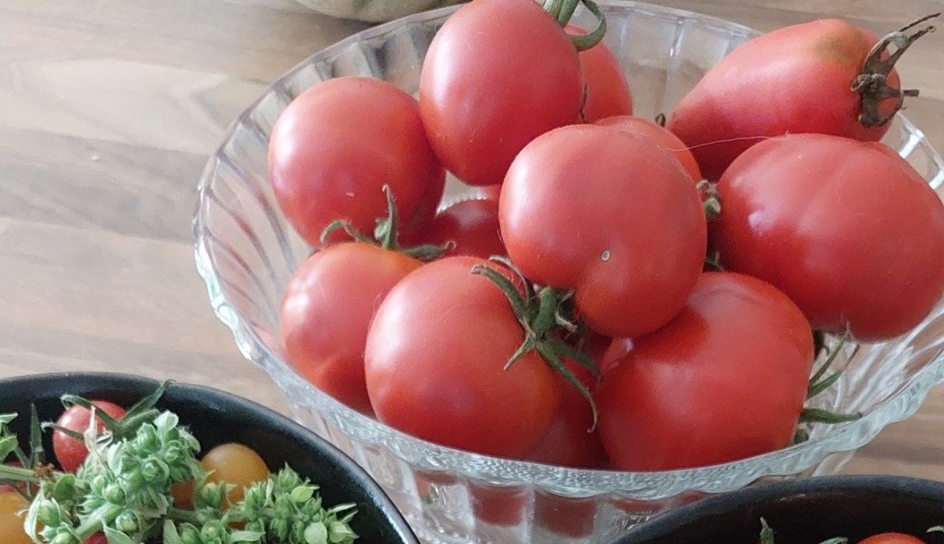 Atelier cuisine autour de la tomate