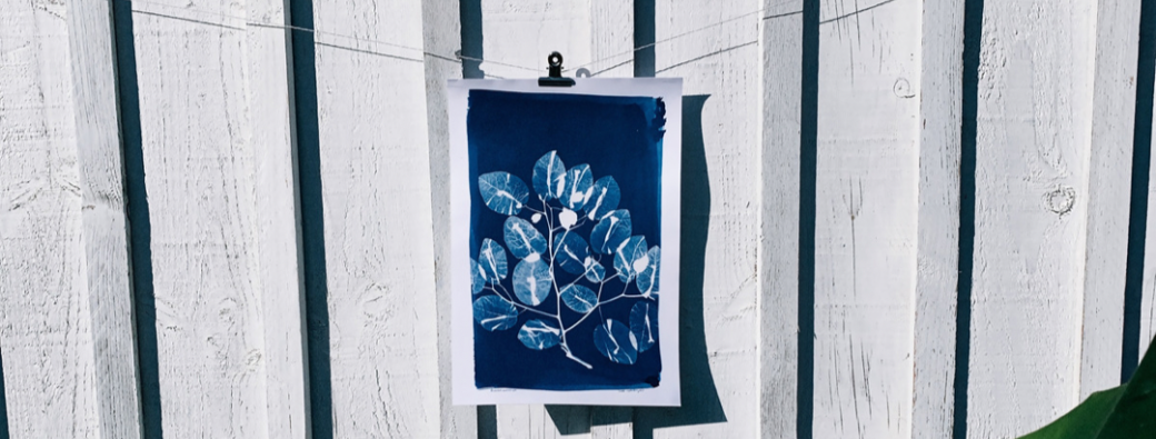 Atelier de cyanotype en négatif ou végétal vendredi 21 mars 2025