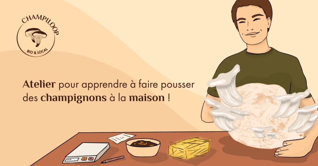 Atelier d'initation à la production de champignons maison ! 