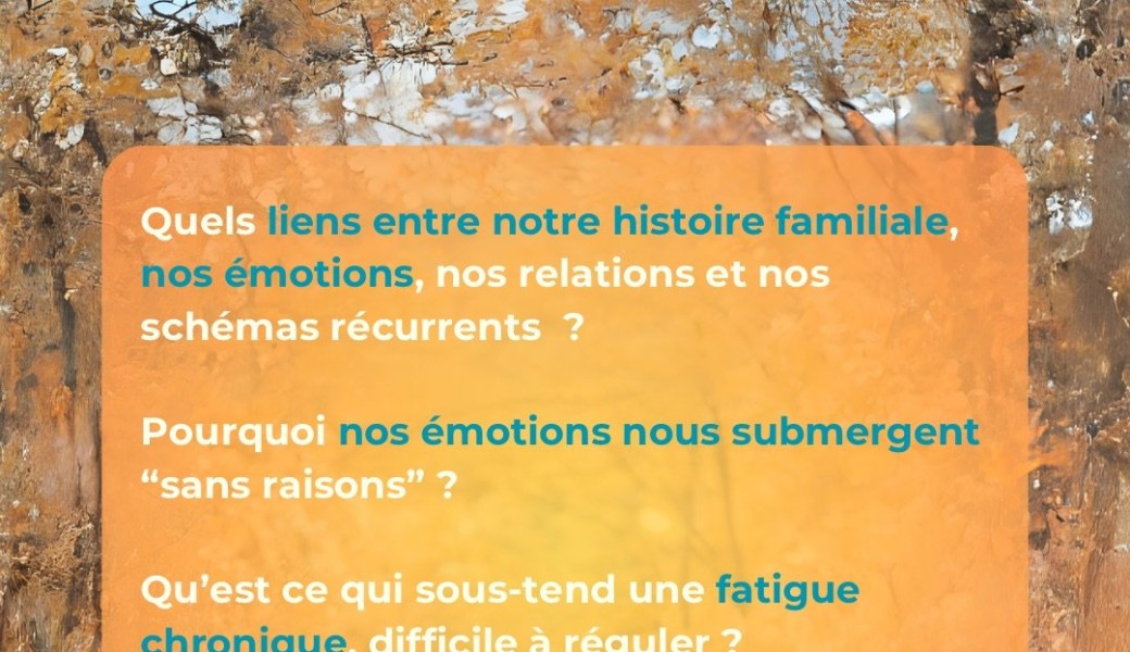 Atelier «  explorez vos relations familiales »