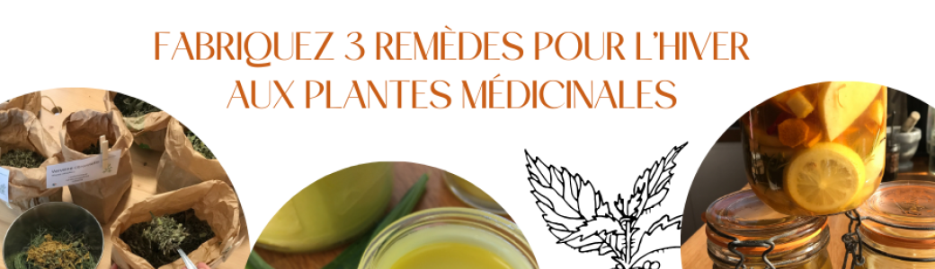 Atelier d'herboristerie pratique : fabriquez 3 remèdes aux plantes médicinales pour l'hiver 