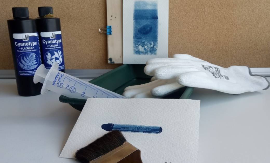 Atelier initiation cyanotype