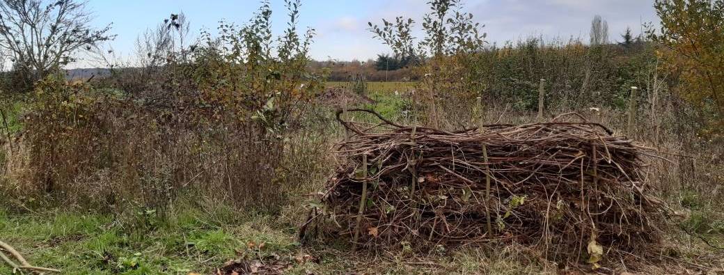 Atelier "Jardinage Zéro Déchet" à Noisy-le-Roi