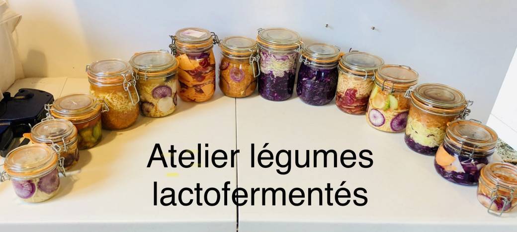 Atelier Lactofermentation