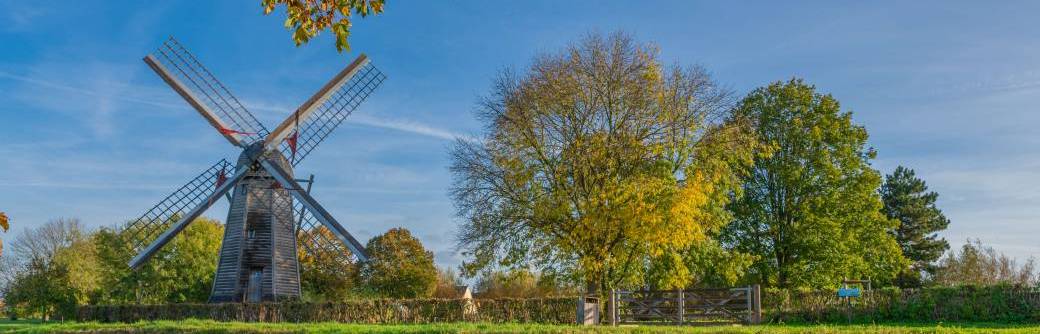 ATELIER | Le Moulin de l'Aile (6-10ans)