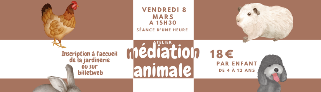 Atelier médiation animal