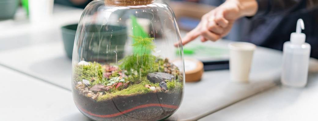 Atelier Terrarium - Salon Extérieurs & jardin à Mulhouse