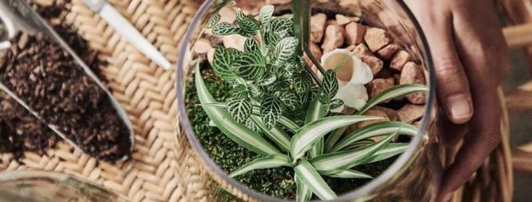 Atelier TERRARIUM - adulte