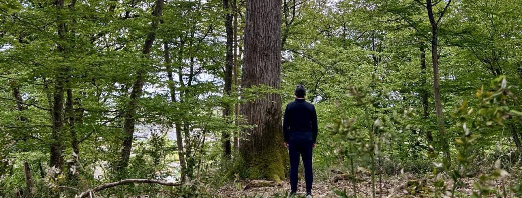 Bain de forêt "Immersion Bien-Etre"