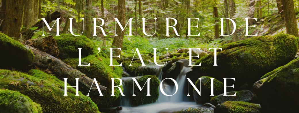 Bain de forêt - Murmure de l'eau et harmonie