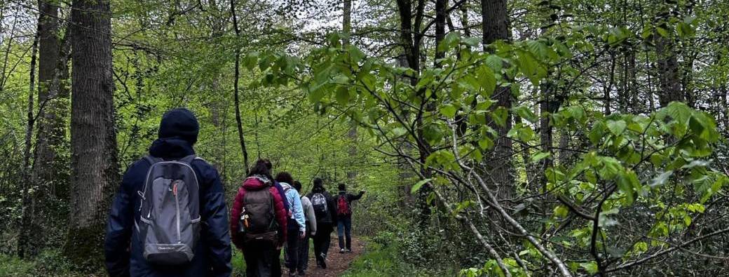 Bain de forêt "Immersion Bien-Etre"