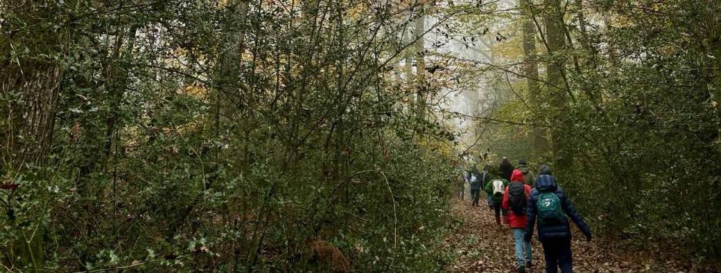 Bain de forêt "Immersion Bien-Etre"