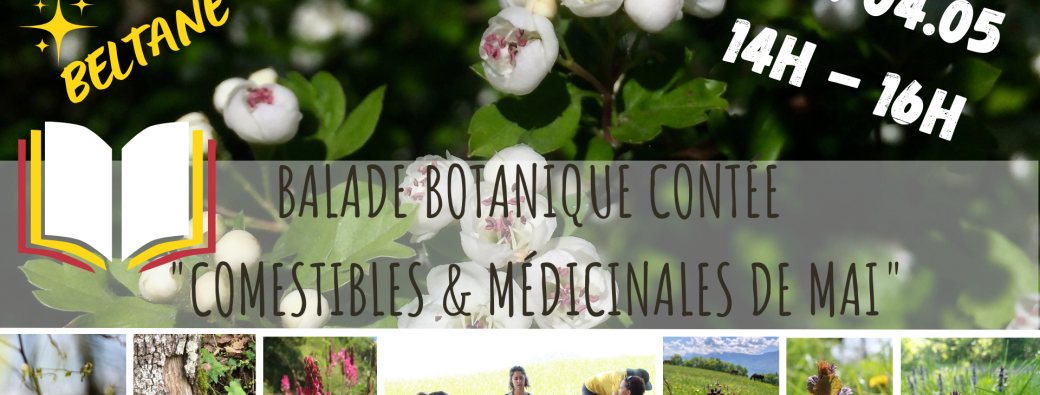 BALADE BOTANIQUE CONTÉE - Comestibles & Médicinales de Mai