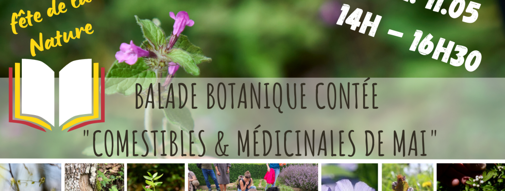 BALADE BOTANIQUE CONTÉE - Comestibles & Médicinales de Mai - Fête de la Nature