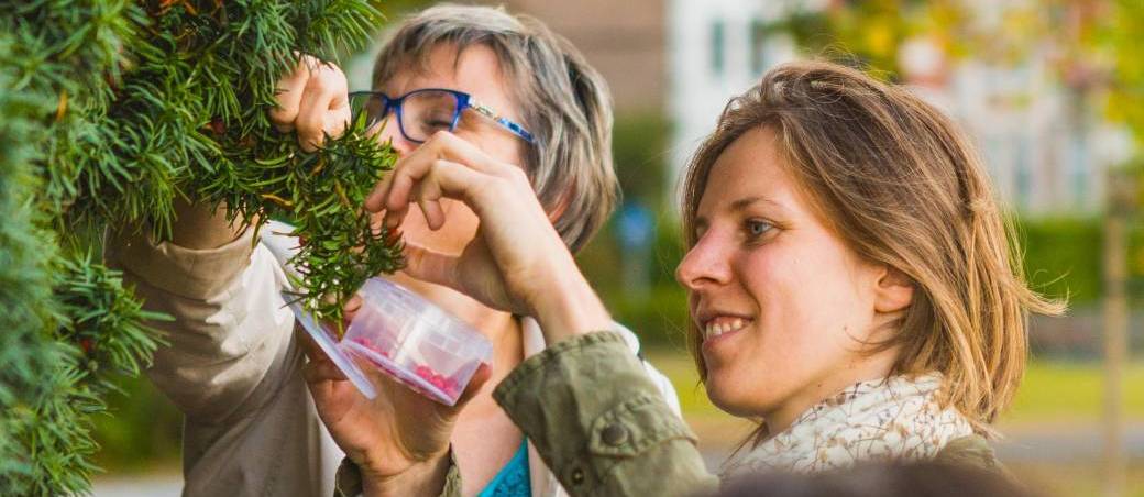 Balade "Les plantes épices" - Namur (2025)