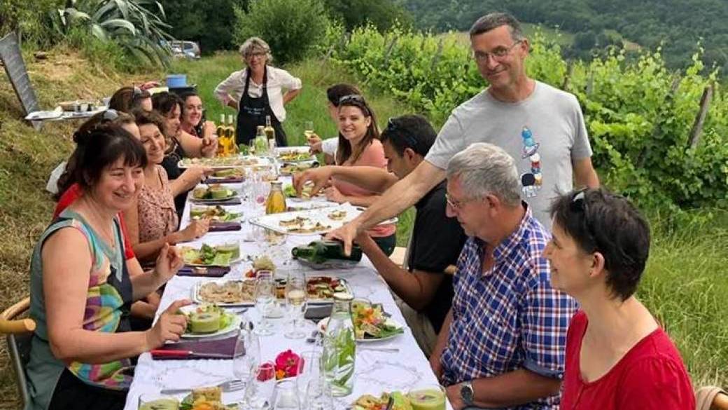 Balade Sauvage dans les Vignes