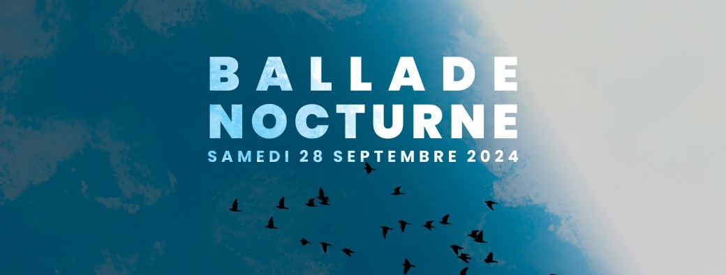 Ballade Nocturne invite *********