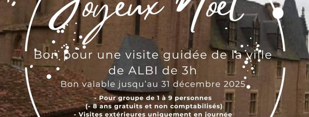 BON CADEAU NOEL - VISITE ALBI 3H