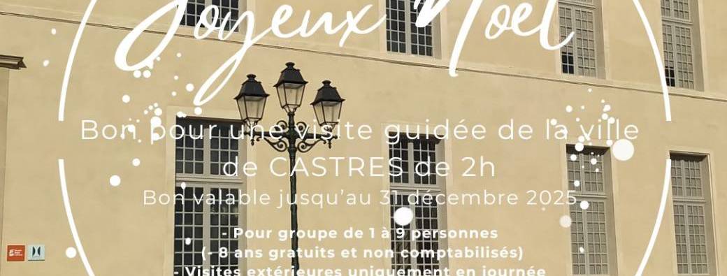 BON CADEAU NOEL - VISITE CASTRES 2H