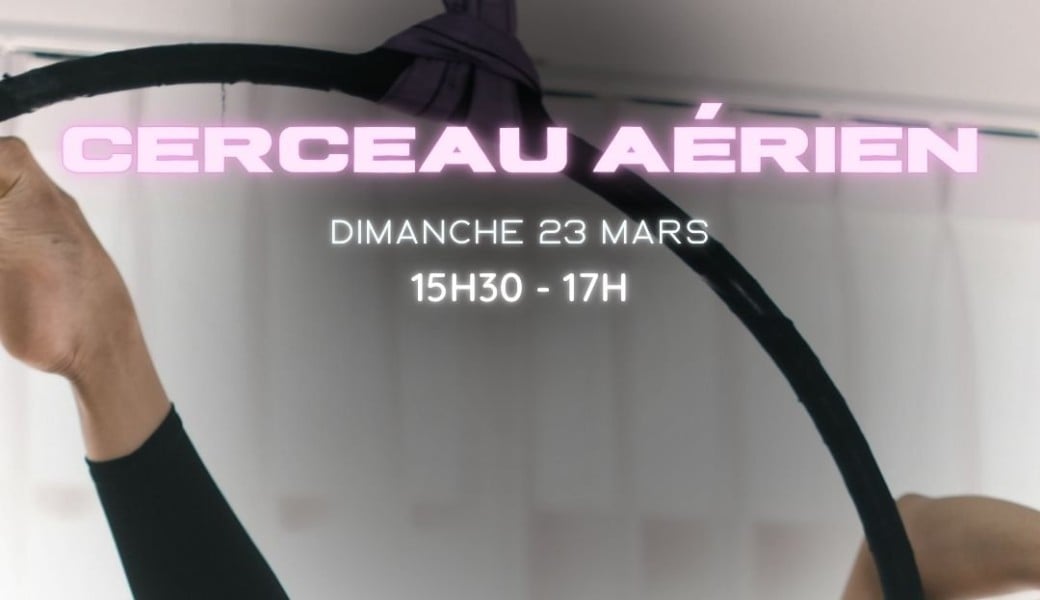 Cerceau aérien 30€