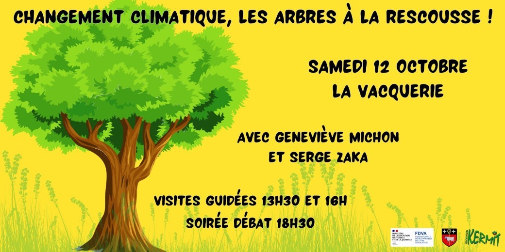 Changement climatique, les arbres à la rescousse !