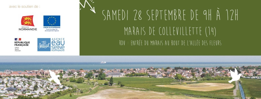 Chantier nature Marais de Collevillette 28 septembre 2024