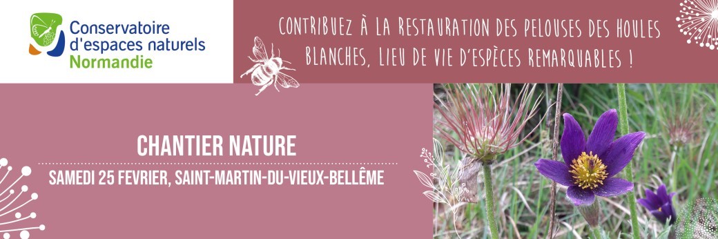 Chantier nature sur la pelouse des Houles Blanches