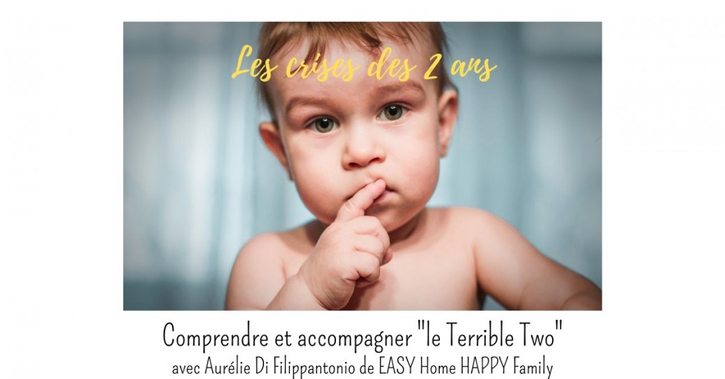 Comprendre et accompagner le "Terrible Two"