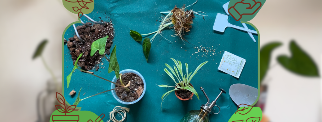 Conférence "bien démarrer sa jungle à la maison"