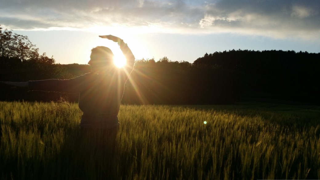 Cours de Qi Gong en Plein Air