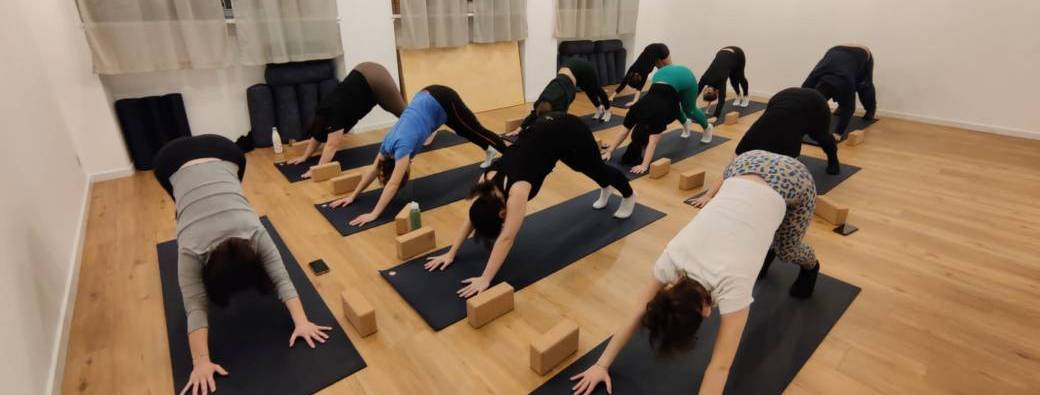 Cours de yoga engagés Slowciety