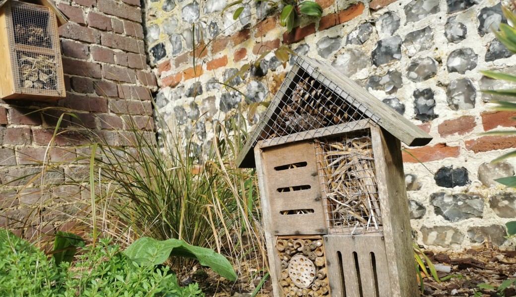 Création d'hôtels à insectes et de nichoirs à oiseaux 