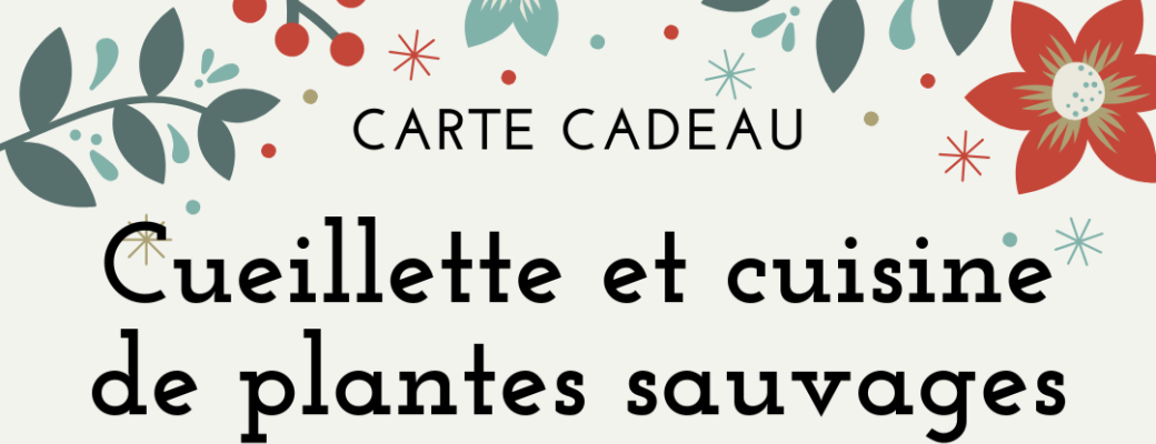 Cueillette et cuisine de plantes sauvages