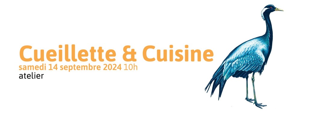 Cueillette et Cuisine