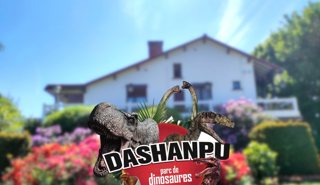 Dashanpu, Parc de dinosaures, ouvre du 17 juin au 10 septembre 2023