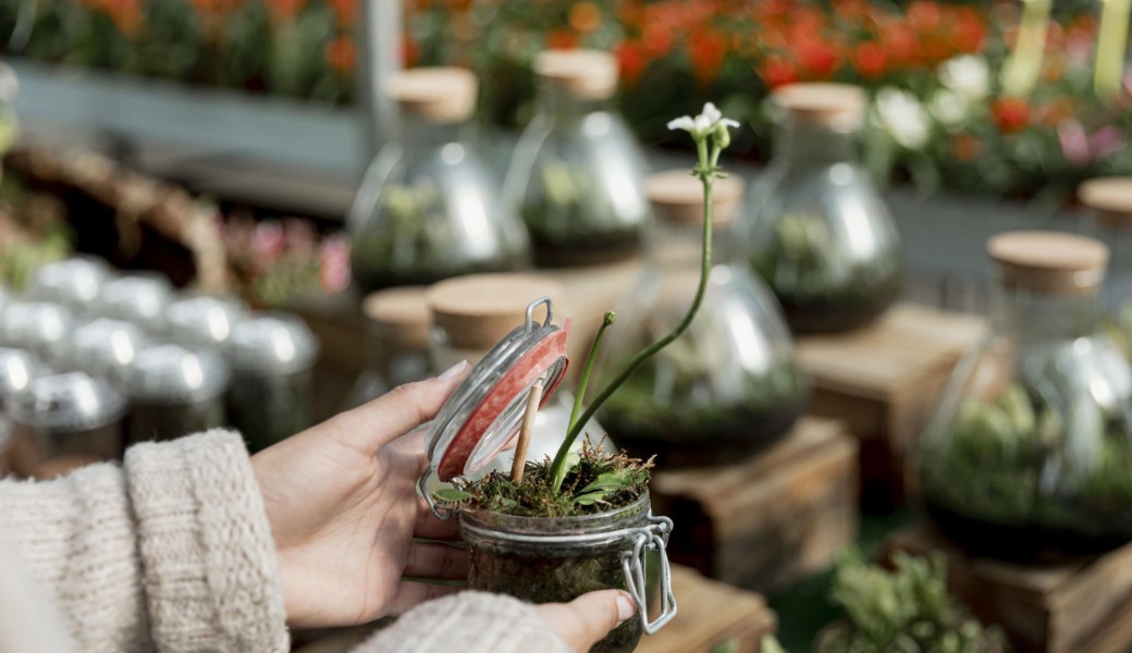 Découverte de la ressourcerie de plantes : La brocante verte !